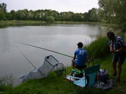 Competities HSV Alfheim